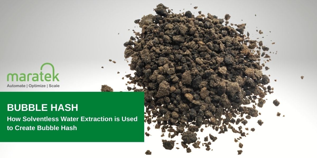 How Solventless Water Extraction is Used to Create Bubble Hash